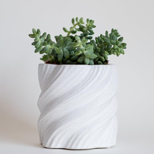 BASE ROOTS Minimalist Spiral Planter