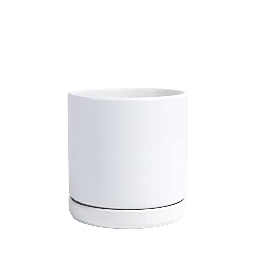 White Ceramic Planter Pot with Drainage, 6 Inch