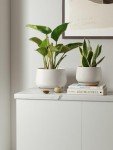 Set of 3 Minimalist Beige Ceramic Plant Pots
