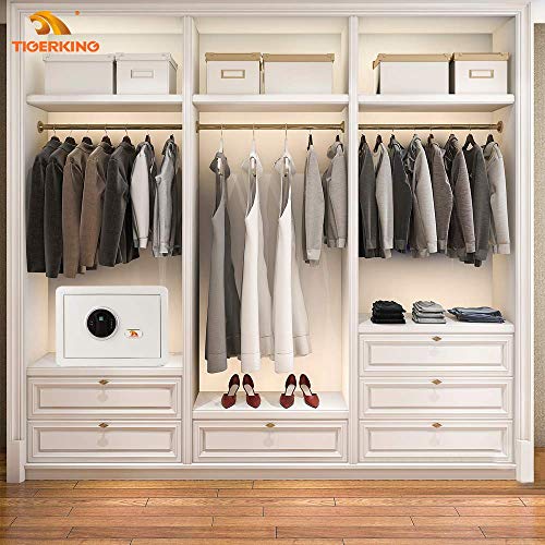 TIGERKING Biometric Fingerprint Home Security Safe