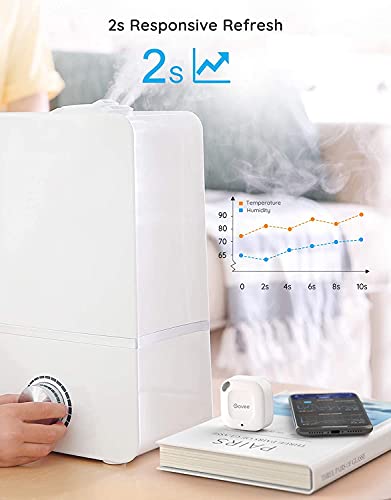 Govee Wireless Bluetooth Hygrometer and Thermometer