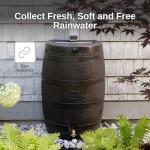 50-Gallon Rain Barrel with Brass Spigot
