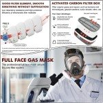 Full Face Gas Mask with Activated Carbon Filter