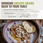 Organic Spelt Berries for Long-Term Survival Storage