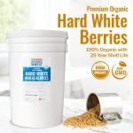 Organic Hard White Wheat Berries - 43 lbs Bulk