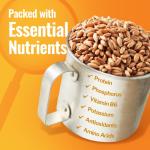 Organic Hard White Wheat Berries - 43 lbs Bulk