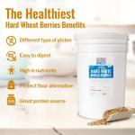 Organic Hard White Wheat Berries - 43 lbs Bulk