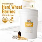 Organic Khorasan Wheat Berries - 43 lbs Bag