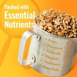 Organic Khorasan Wheat Berries - 43 lbs Bag