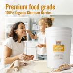 Organic Khorasan Wheat Berries - 43 lbs Bag