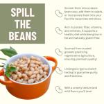 Organic Navy Beans in 6G Bucket (40 lbs)