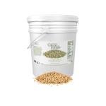 Organic Dried Green Lentils - 40 lb Bulk Bucket