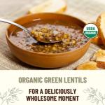 Organic Dried Green Lentils - 40 lb Bulk Bucket