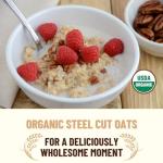 Organic Steel Cut Oats - 42 lbs Bucket