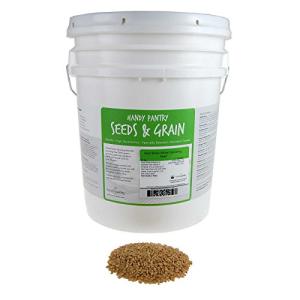 Bulk Non-GMO Organic Whole Wheat Kernels - 35 Lbs
