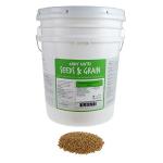 Bulk Non-GMO Organic Whole Wheat Kernels - 35 Lbs