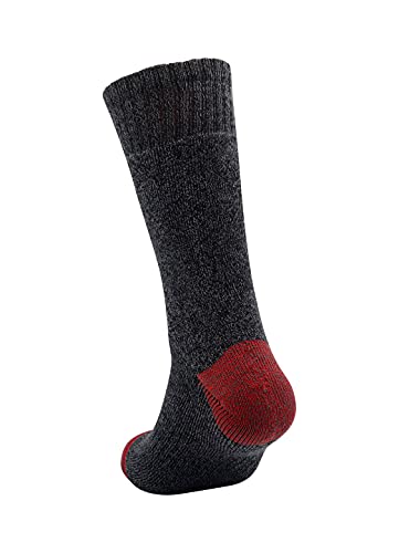 Avalanche Men's High Thermal Sock Multipack, Cushion Arch Support Outdoor Everyday Midweight Thermal Crew Socks For Men 5-Pack