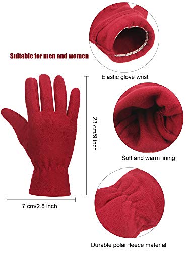 SATINIOR 6 Pairs Winter Fleece Gloves Full Fingers Warm Mittens Gloves for Women Men (Novel Colors)