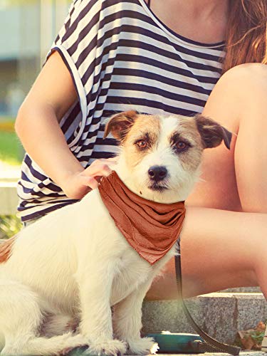 Boao 6 Pieces Chiffon Scarf 1950s Square Scarf Neck Head Scarfs Vintage Soft Scarf Polyester Scarves for Women Girl Lady (Red, Pink, Coffee, Atrovirens, Light Blue, Light Purple,)