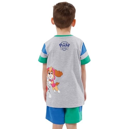 Paw Patrol Outfit | Boys Short And Tshirt Set | Boys Clothing Sets | Gray 7