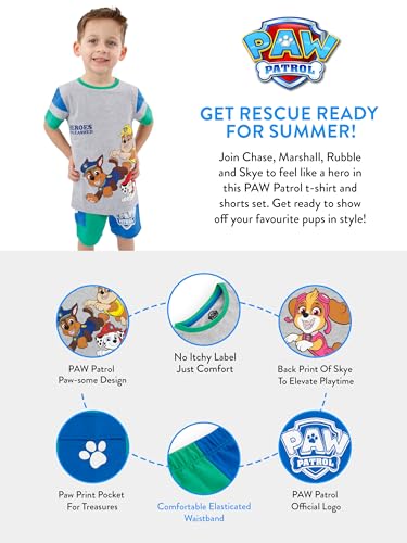 Paw Patrol Outfit | Boys Short And Tshirt Set | Boys Clothing Sets | Gray 7