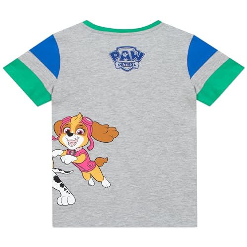 Paw Patrol Outfit | Boys Short And Tshirt Set | Boys Clothing Sets | Gray 7