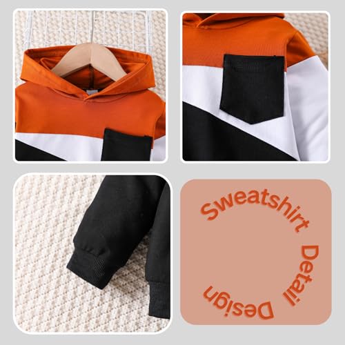 Vitalique Toddler Baby Boy Clothes Boys Hoodies Color Block Sweatshirt Pants 2pcs 6 T Fall Winter Outfits Set