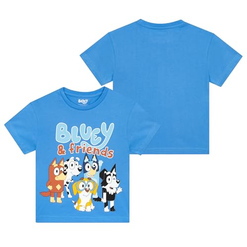 Bluey Outfit | Bingo Boys Clothing Sets | 2 Piece Set Boys' Shorts and T Shirt | Summer Outfits for Boys | Blue 3T
