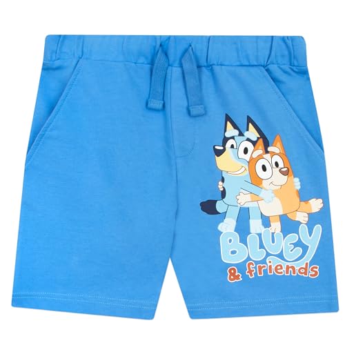 Bluey Outfit | Bingo Boys Clothing Sets | 2 Piece Set Boys' Shorts and T Shirt | Summer Outfits for Boys | Blue 3T