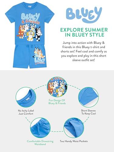 Bluey Outfit | Bingo Boys Clothing Sets | 2 Piece Set Boys' Shorts and T Shirt | Summer Outfits for Boys | Blue 3T