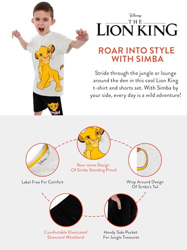 Disney 2 Piece Shorts Set | Boys Lion King Shirt And Shorts Set | Simba Boys Tshirt | Lion King Outfit | Gray 8