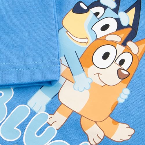 Bluey Outfit | Bingo Boys Clothing Sets | 2 Piece Set Boys' Shorts and T Shirt | Summer Outfits for Boys | Blue 3T
