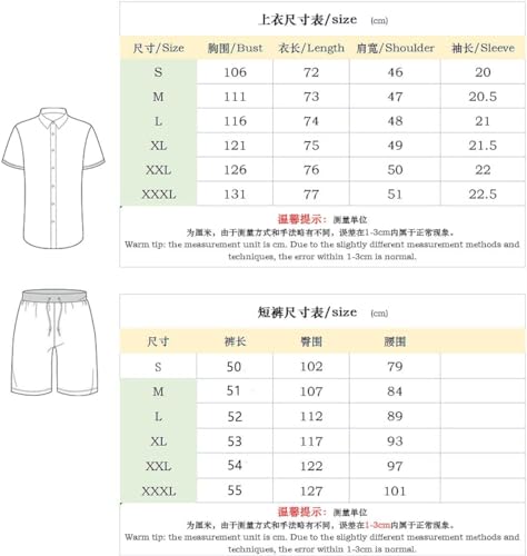 Mens Short Sets 2 Piece Outfits Short Sleeve Zipper Polo Shirts and Shorts Sets Classic Gym Workout Summer Tracksuits (B12,XXL)
