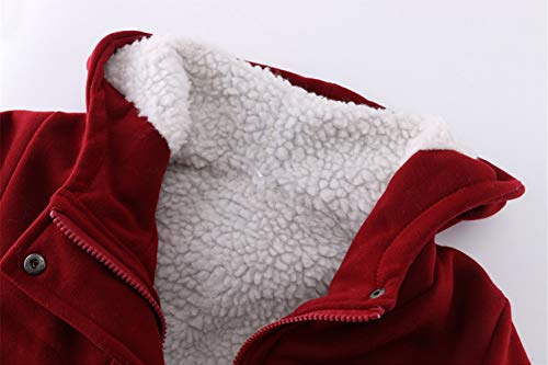 JiangWu Womens Fashion Horn Button Fleece Thicken Coat with Hood Winter Warm Jacket (Large, Wine-red)