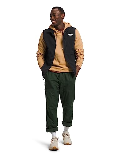 THE NORTH FACE Apex Bionic 3 Windproof Vest