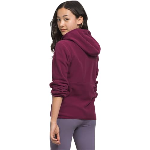 THE NORTH FACE Boysenberry Teen Glacier Jacket