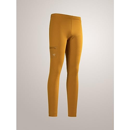 Arc'teryx Rho Heavyweight Men's Fleece Base Layer