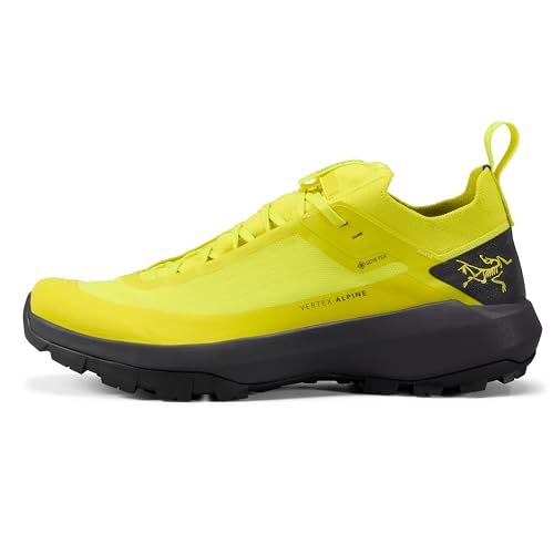 Arc'teryx Vertex Alpine GTX Men's Approach Shoes