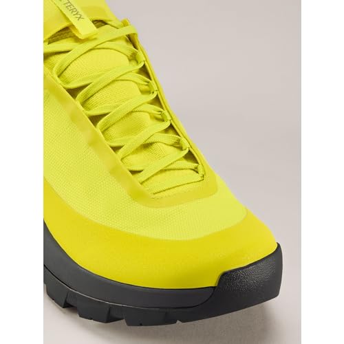 Arc'teryx Vertex Alpine GTX Men's Approach Shoes