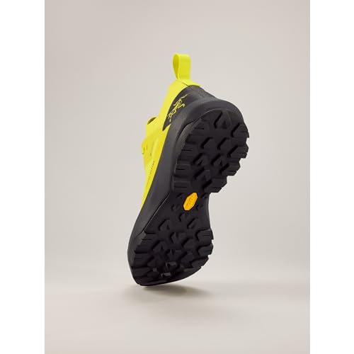 Arc'teryx Vertex Alpine GTX Men's Approach Shoes