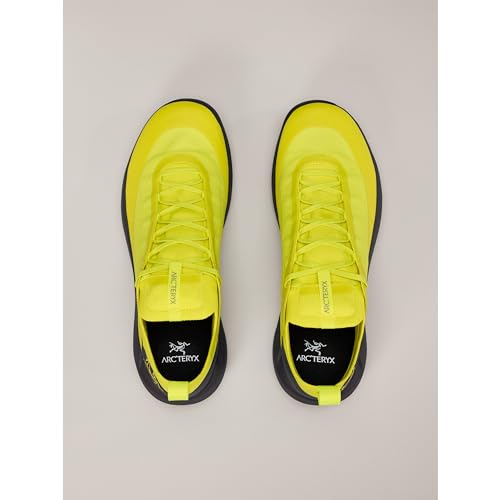 Arc'teryx Vertex Alpine GTX Men's Approach Shoes