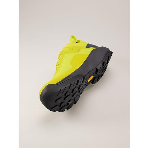 Arc'teryx Vertex Alpine GTX Men's Approach Shoes