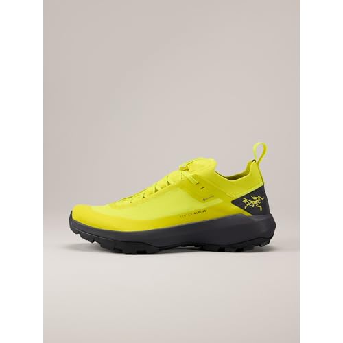 Arc'teryx Vertex Alpine GTX Men's Approach Shoes