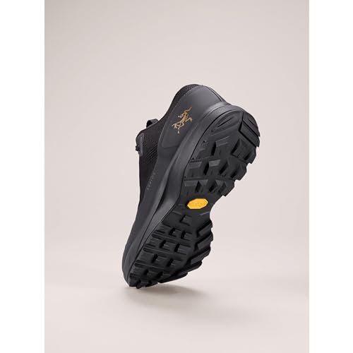 Arc'teryx Women's Aerios GTX Black Hiking Shoe