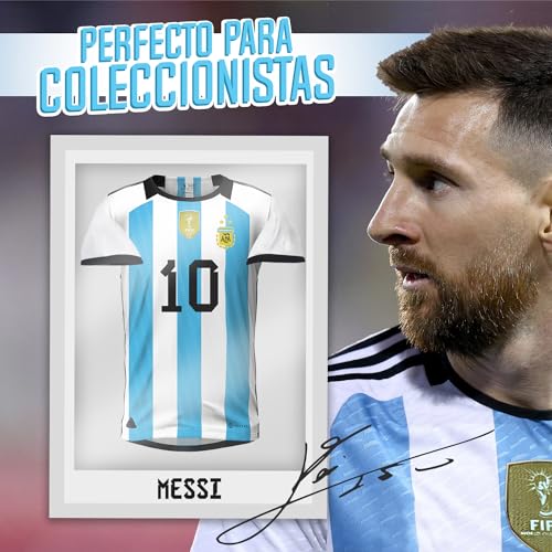 Argentina Soccer Jersey #10 Copa Mundial, World Cup Retro, Camiseta Argentina Numero 10, The G.O.A.T Jersey, Futbol (US, Alpha, Medium, Regular, Regular, Albiceleste)