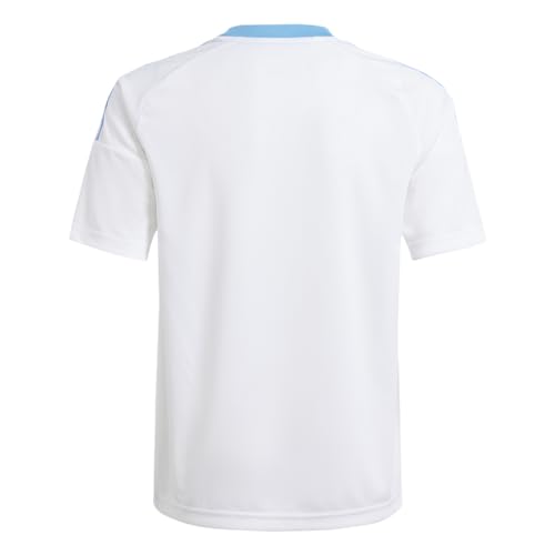 adidas Men's Argentina 2024 Home Fan Jersey, White/Blue Burst, Medium