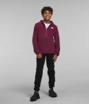 THE NORTH FACE Boysenberry Teen Glacier Jacket