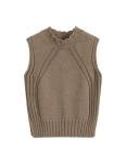Aelfric Eden Women's Brown Sleeveless Sweater Vest