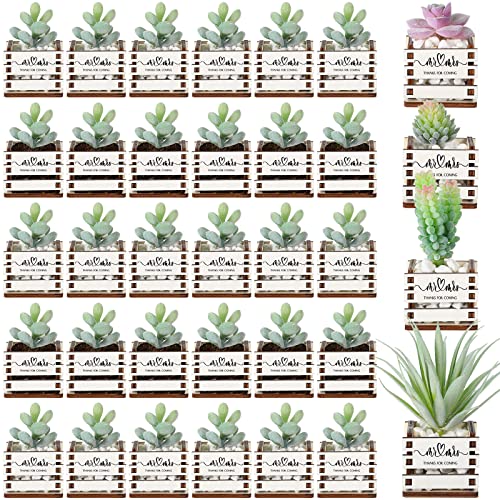 50-Piece Mini Succulent Pot Set for Wedding Decor