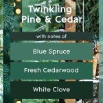 Glade Twinkling Pine & Cedar Candle Jar